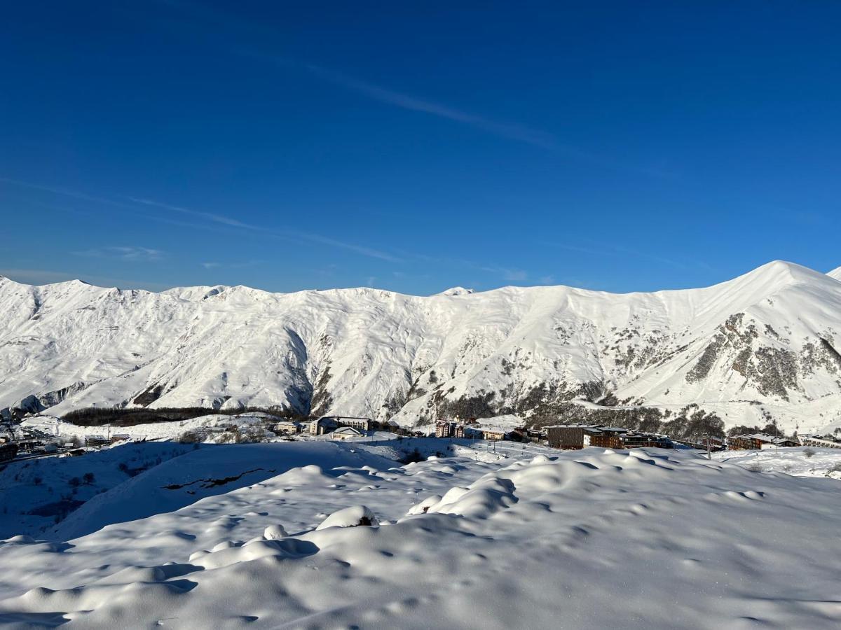 شقة Twins #144 New Gudauri With Mountain View المظهر الخارجي الصورة