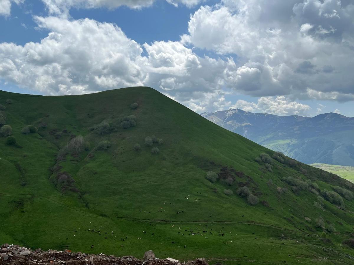 شقة Twins #144 New Gudauri With Mountain View المظهر الخارجي الصورة